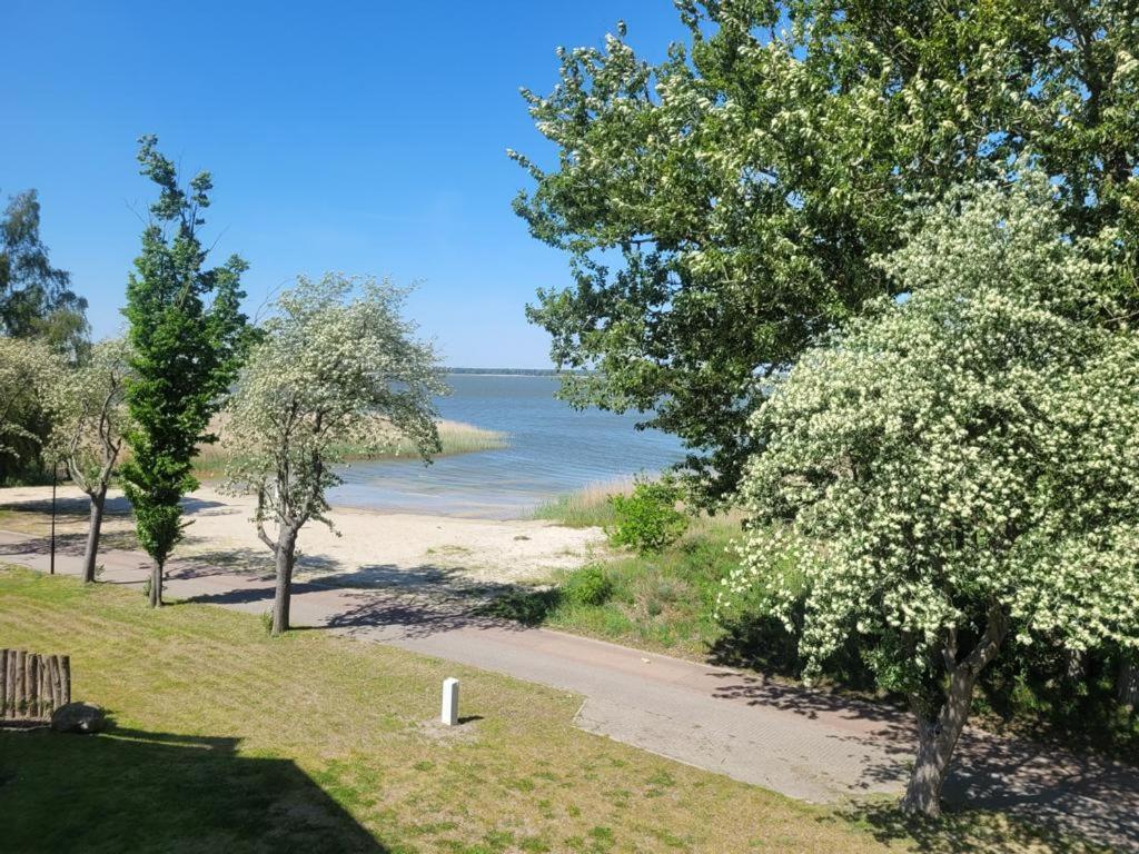 Baltic Lagoon Resort Direkt Am Meer Fuhlendorf  Exterior foto